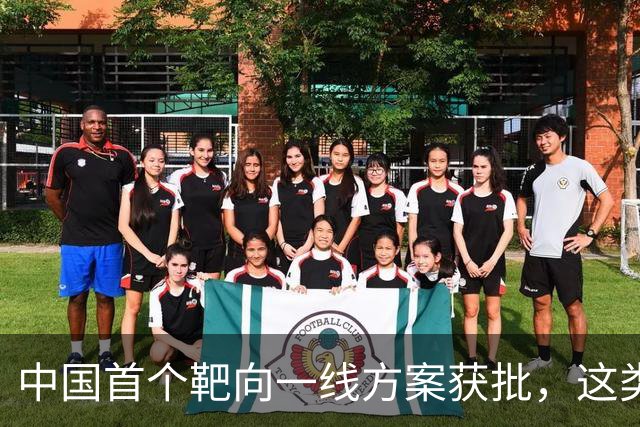 中国首个靶向一线方案获批，这类外周T细胞淋巴瘤迎新选择