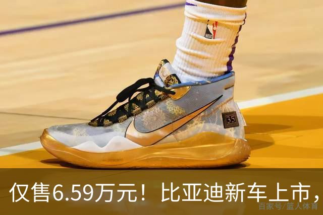 仅售6.59万元！比亚迪新车上市，这绝对是来捣乱的