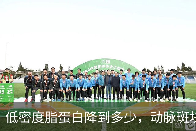 低密度脂蛋白降到多少，动脉斑块会开始消退？专家给出答案