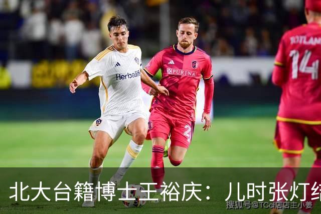 北大台籍博士王裕庆：儿时张灯结彩的“光复节”，为何被民进党抹除
