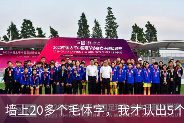 墙上20多个毛体字，我才认出5个！能全认出来的，读书是真下功夫了。学草书应该反复练一本帖，还是多看几家？