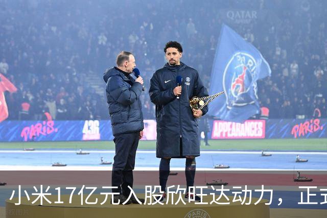 小米17亿元入股欣旺达动力，正式成为第三大股东