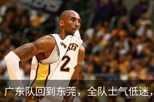 广东队回到东莞，全队士气低迷，徐杰渴望证明自己，下一场迎战江苏肯帝亚