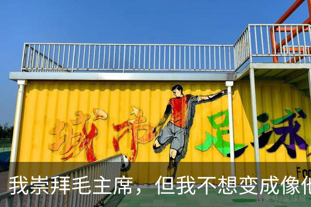 我崇拜毛主席，但我不想变成像他那样的人！