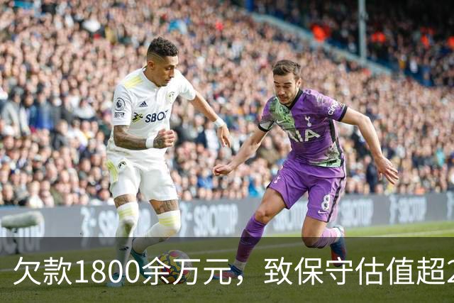 欠款1800余万元，致保守估值超2.5亿元的295套房产被查封3年，地产商曾8次申请解封未果……泰州一场因财产保全引发的损害赔偿诉讼引争议