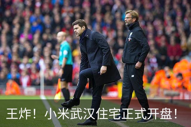 王炸！小米武汉住宅正式开盘！