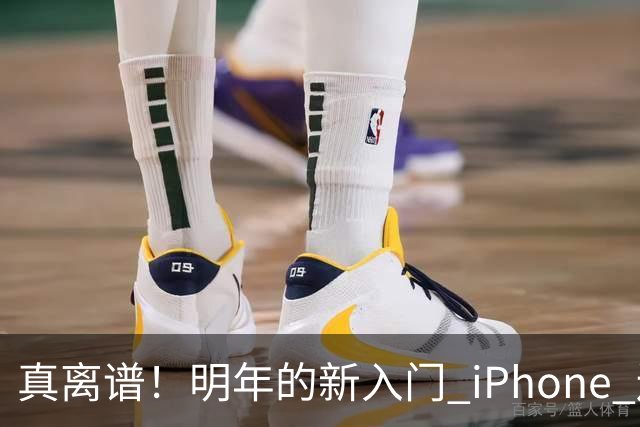 真离谱！明年的新入门 iPhone 还是 60Hz