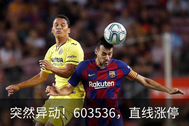 突然异动！603536，直线涨停