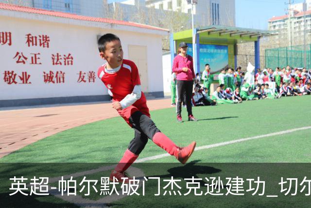 英超-帕尔默破门杰克逊建功 切尔西2-1纽卡斯尔
