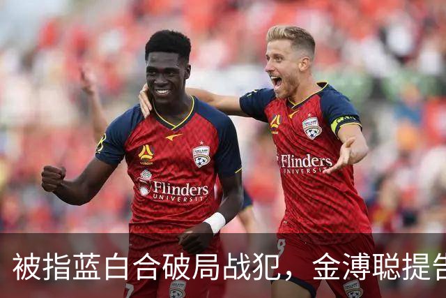 被指蓝白合破局战犯，金溥聪提告邱毅、蔡正元，一审判决出炉