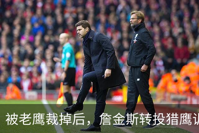 被老鹰裁掉后，詹金斯转投猎鹰训练阵容