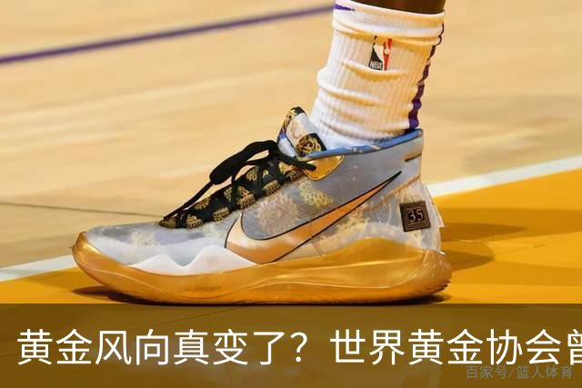 黄金风向真变了？世界黄金协会曾提醒：今年下半年，或将迎关键期